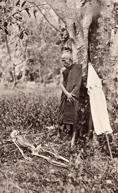 Fotografía simbólica de un monje contemplando un esqueleto, Siam, c.1890 de Robert Lenz